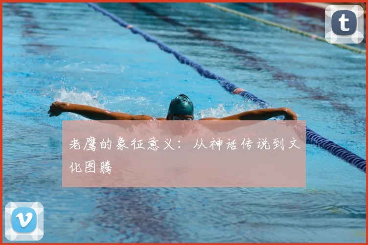 老鹰的象征意义：从神话传说到文化图腾