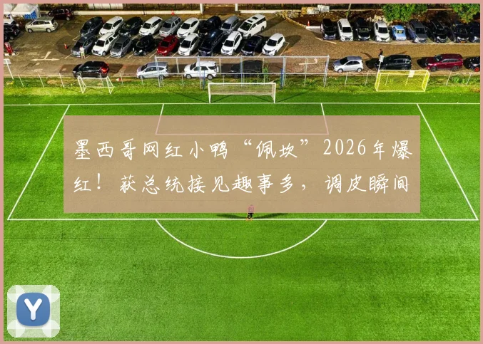 墨西哥网红小鸭“佩坎”2026年爆红！获总统接见趣事多，调皮瞬间差点“攻击”元首