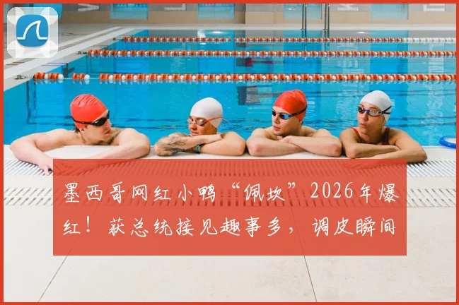 墨西哥网红小鸭“佩坎”2026年爆红！获总统接见趣事多，调皮瞬间差点“攻击”元首